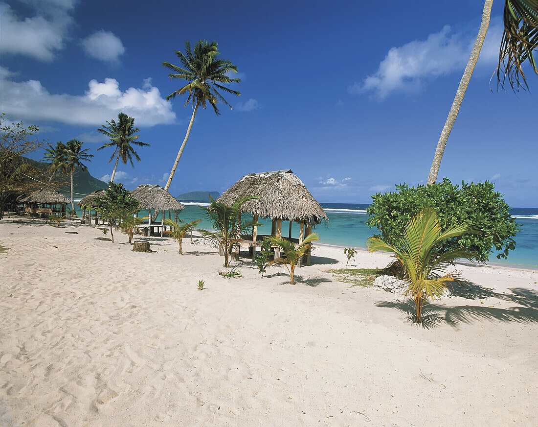 Samoanischer Strand mit Fales im traditionellen Stil am Wasser; Insel Upolu, Samoa