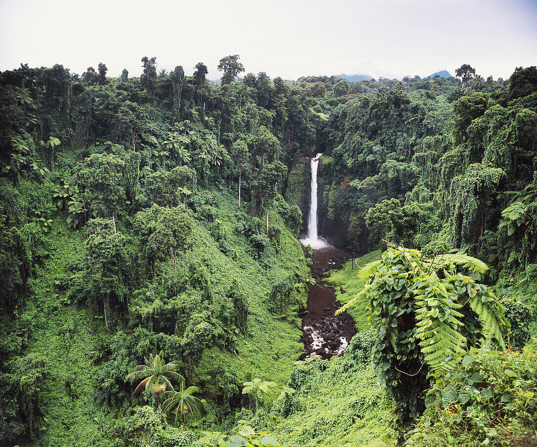 Sopo'aga Falls; Upolu Island, Samoa