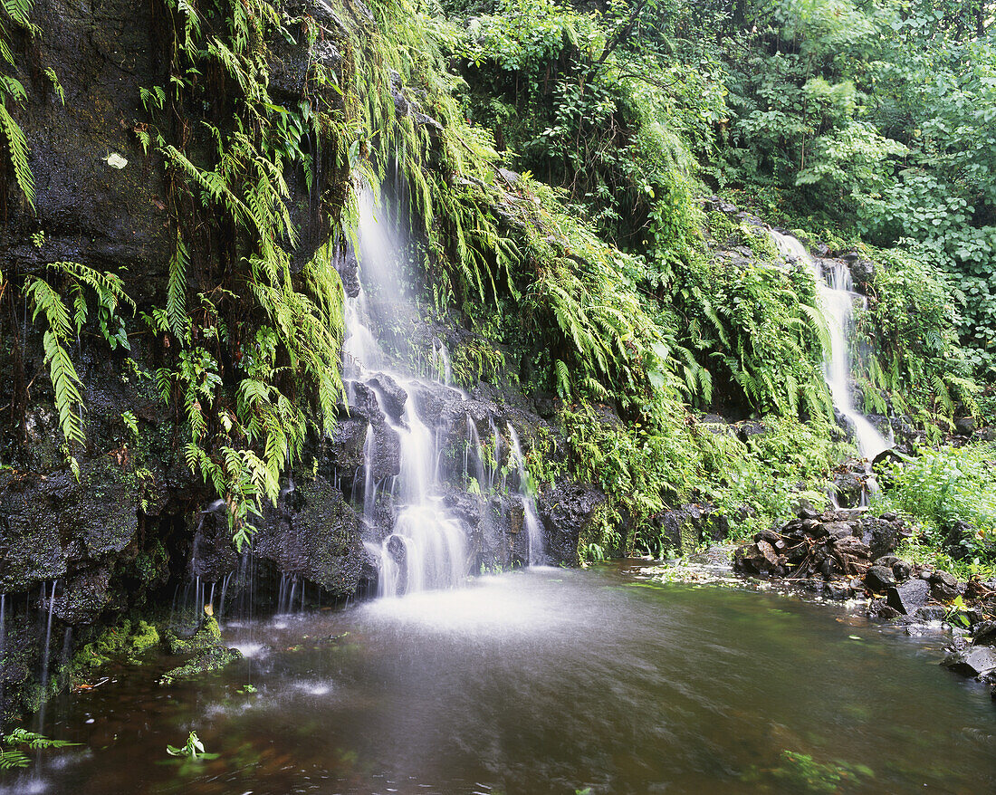 Wasserfall an der Südostküste der Insel Upolu; Ulpolu, Samoa