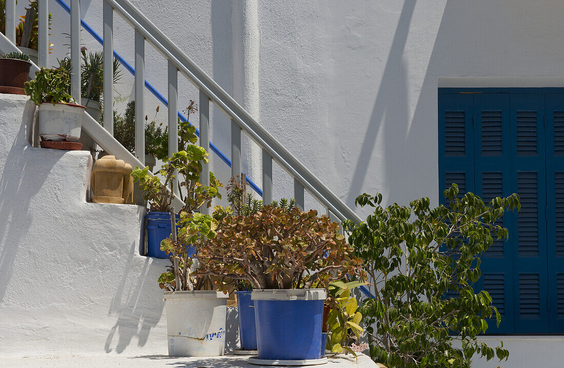 Pflanzen in Keramiktöpfen auf einer Treppe; Mykonos-Stadt, Mykonos, Kykladen, Griechische Inseln, Griechenland