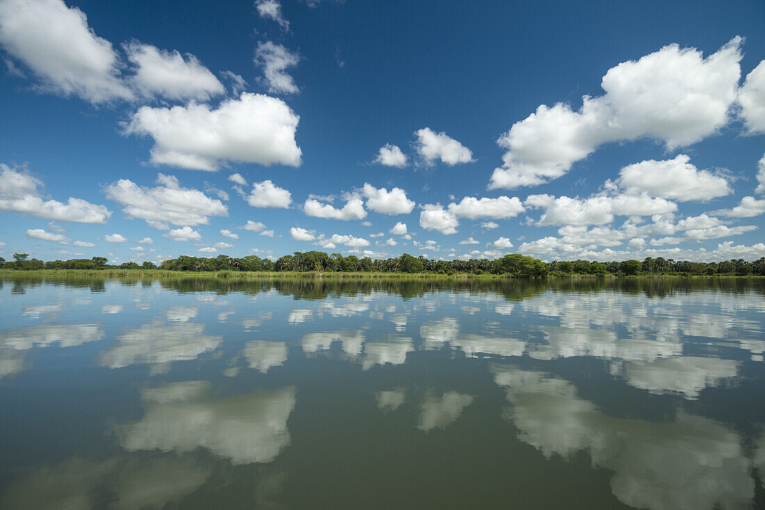 Spiegelungen auf dem ruhigen Wasser des Shire River, Liwonde National Park; Malawi
