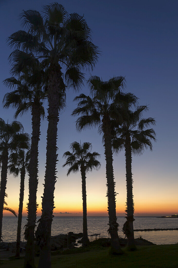Silhouette von Palmen am Rande des Wassers mit der Sonne, die über dem Meer untergeht; Paphos, Zypern