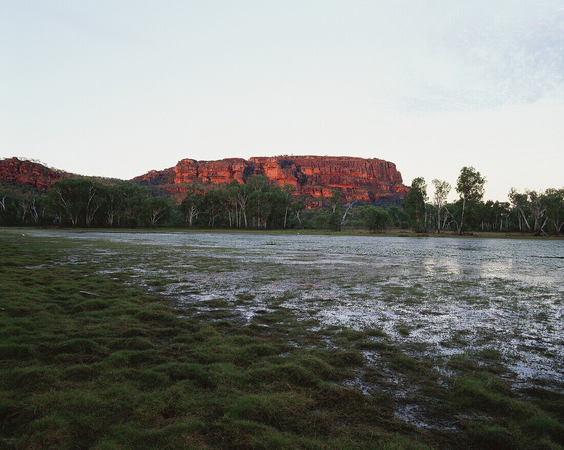 Billabong At Sunset; Northern Territory, Australia