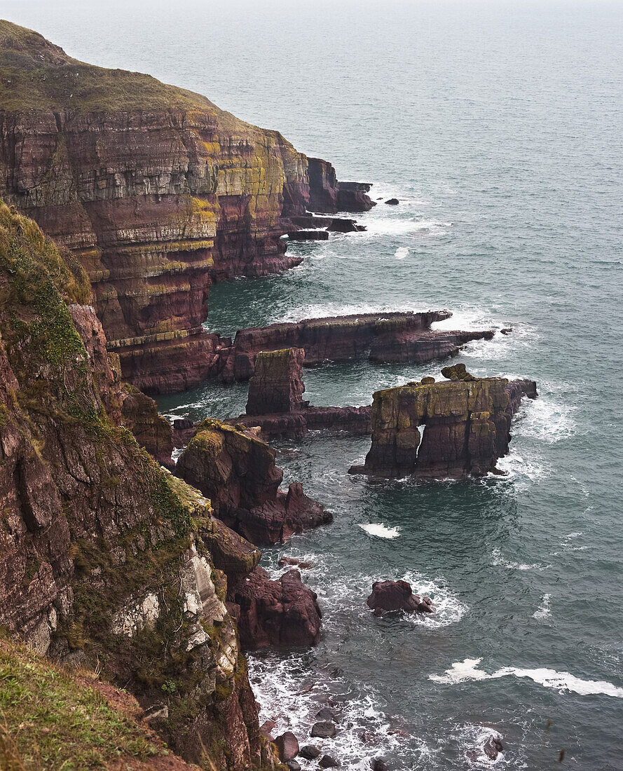 Küstenklippen entlang des Küstenpfads von Pembrokeshire, in der Nähe von Stackpole Quay; Wales