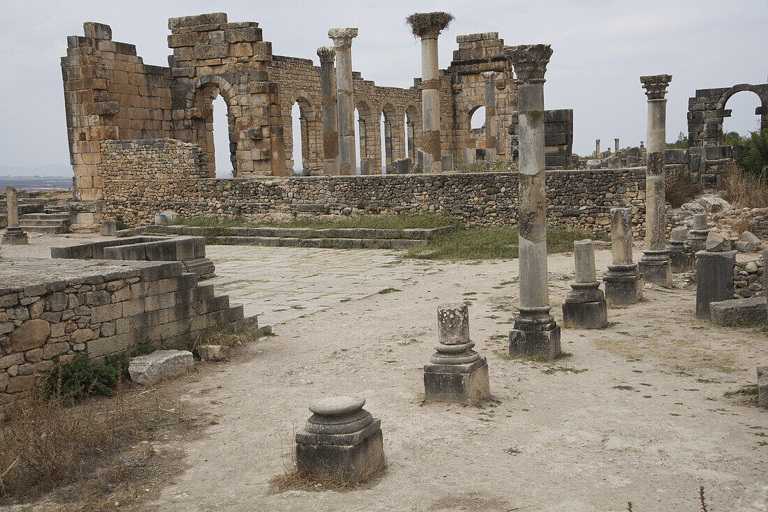 Blick über die Ruinen, die römische Bögen und aus Stein gehauene Säulen enthalten; Volubilis, Mauretanien, Marokko