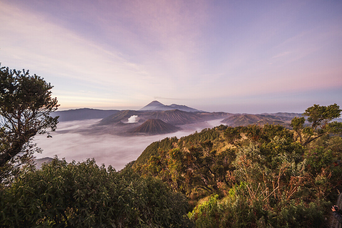 Tengger Caldera mit dampfendem Mount Bromo, Mount Batok und Mount Semeru im Hintergrund, gesehen vom westlichen Aussichtspunkt in der Morgendämmerung, Bromo Tengger Semeru National Park, Ost-Java, Indonesien