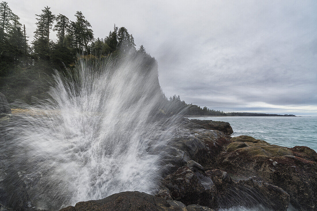 Wasser explodiert durch das Blow Hole in der Nähe von Tow Hill an der Nordküste von Haida Gwaii, Naikoon Provincial Park; British Columbia, Kanada