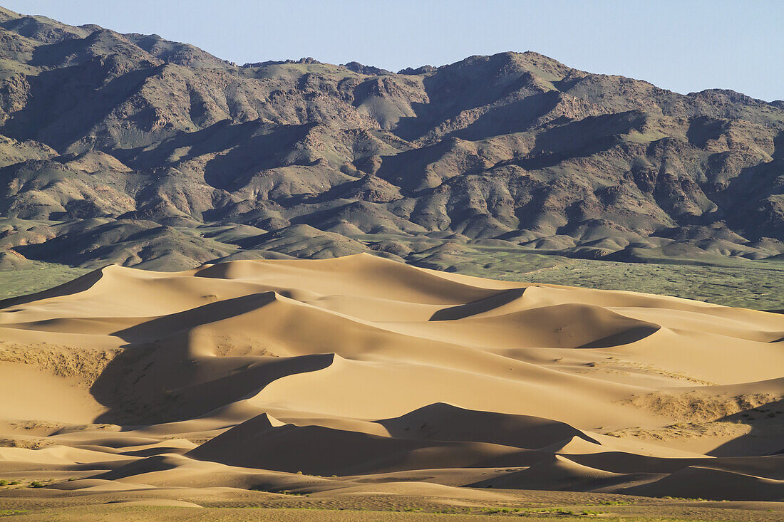 Sand Dunes Of Khongoryn Els, Gobi Gurvansaikhan National Park, Ã–mnÃ¶govi Province, Mongolia