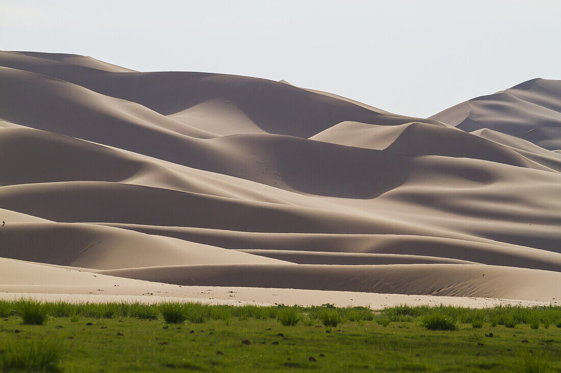 Die Oase Seruun Bulag bei den SanddÃ?nen von Khongoryn Els, Nationalpark Gobi Gurvansaikhan, Provinz Ã-mnÃ¶govi, Mongolei