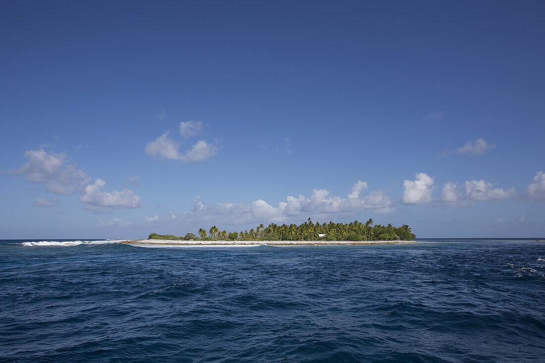 Kleine Insel mit Sand und Bäumen; Tahiti