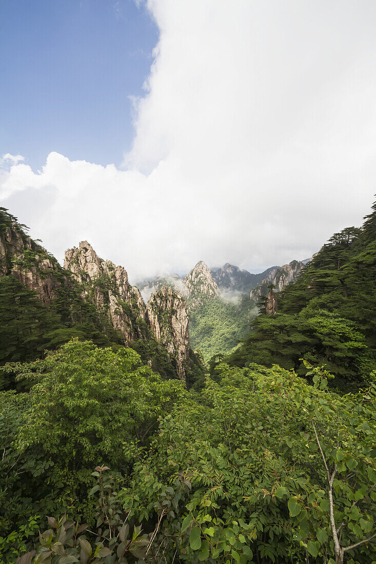 Granitgipfel mit Pinienbäumen im malerischen Nordseegebiet, Berg Huangshan, Anhui, China