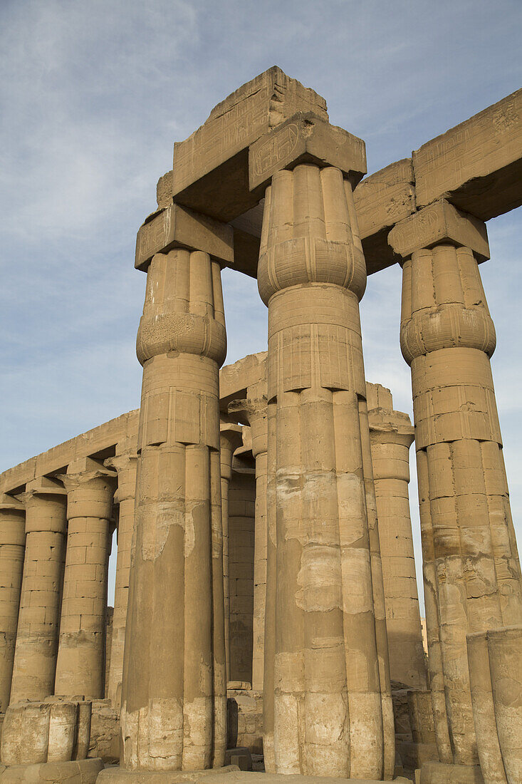 Columns In The Court Of Amenhotep Iii, Luxor Temple; Luxor, Egypt