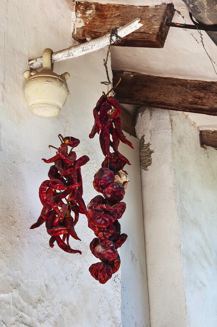 Red Hot Chilli Peppers Hanging; Alicante, Spain