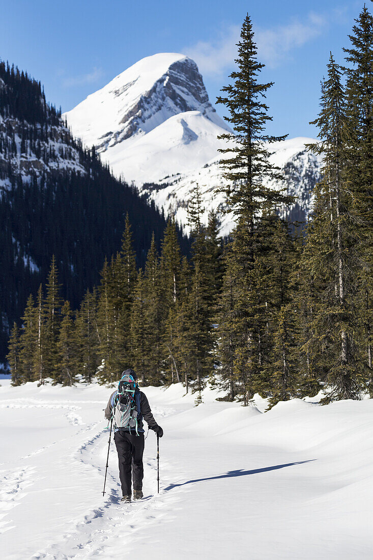 Frau beim Schneeschuhwandern auf einem schneebedeckten Pfad mit einem schneebedeckten Berg im Hintergrund und blauem Himmel; Banff, Alberta, Kanada