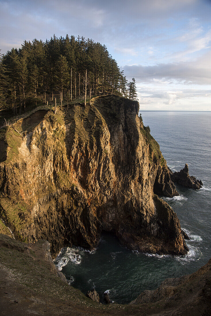 Tall Cliffs Are Found At Oswald West State Park; Manzanita, Oregon, Vereinigte Staaten Von Amerika