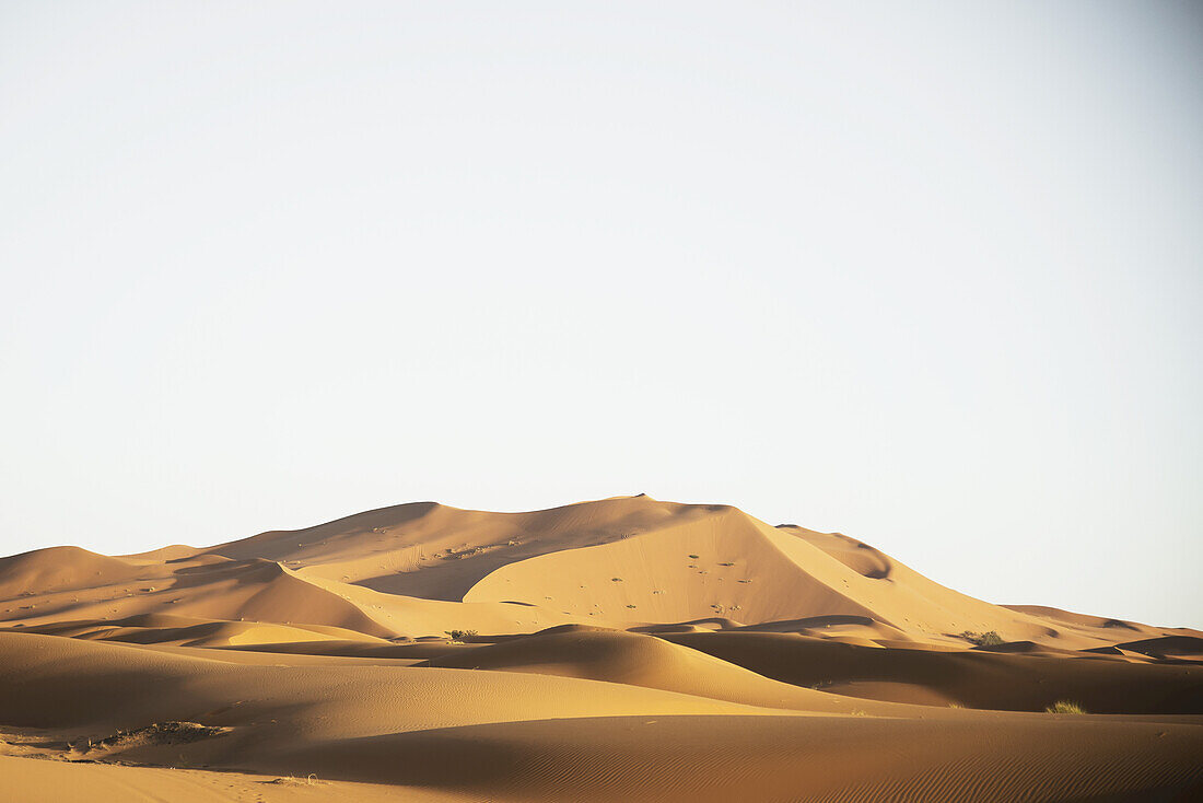 Wüste Dünen Landschaft spät am Tag, Sahara-Wüste; Merzouga, Marokko