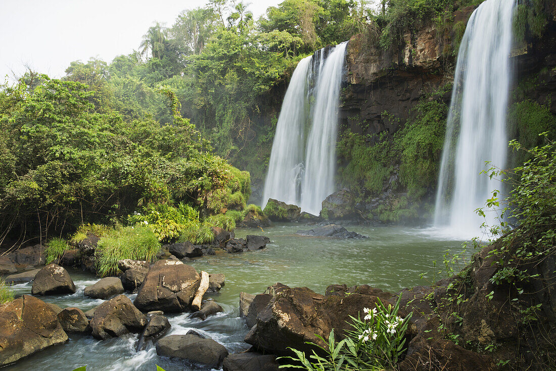 Three Waterfalls In Tropical Landscape With Flowers In Foreground; Missiones, Argentina