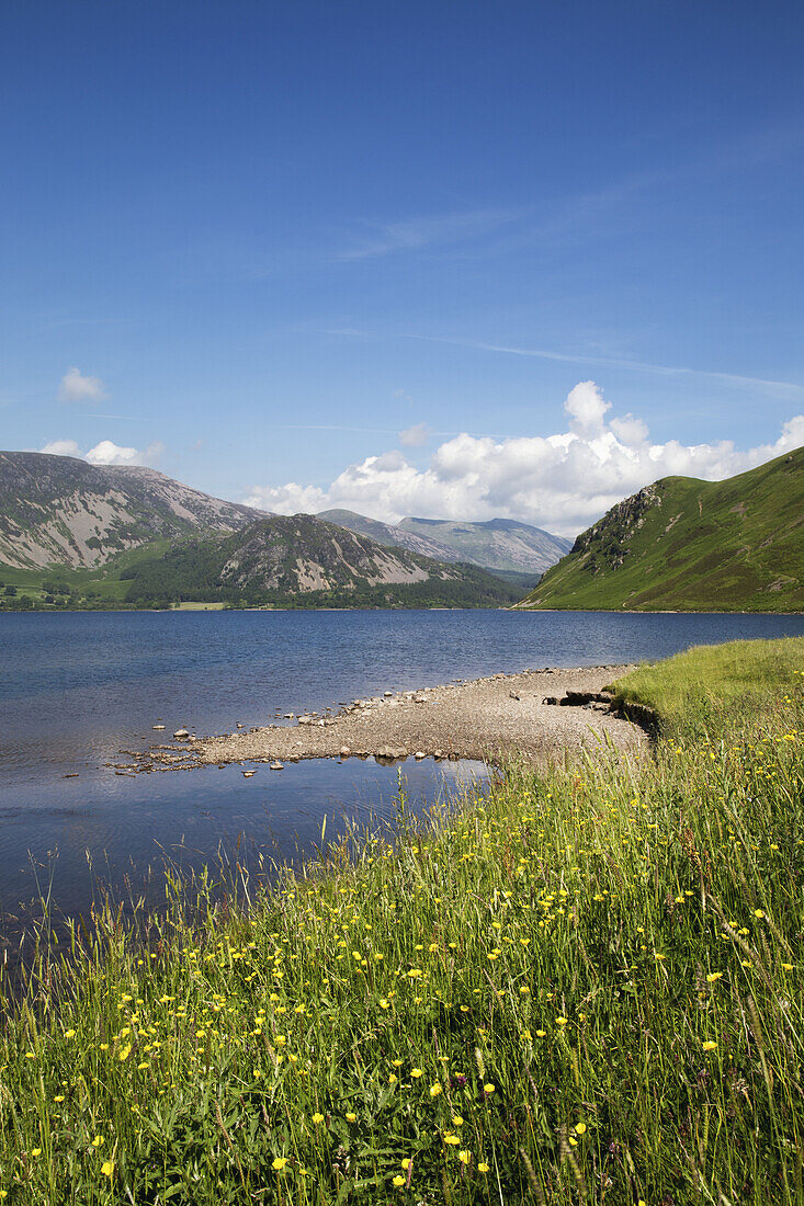 Wildflowers Grow On The Shore Beside A Mountain Lake; Cumbria, England