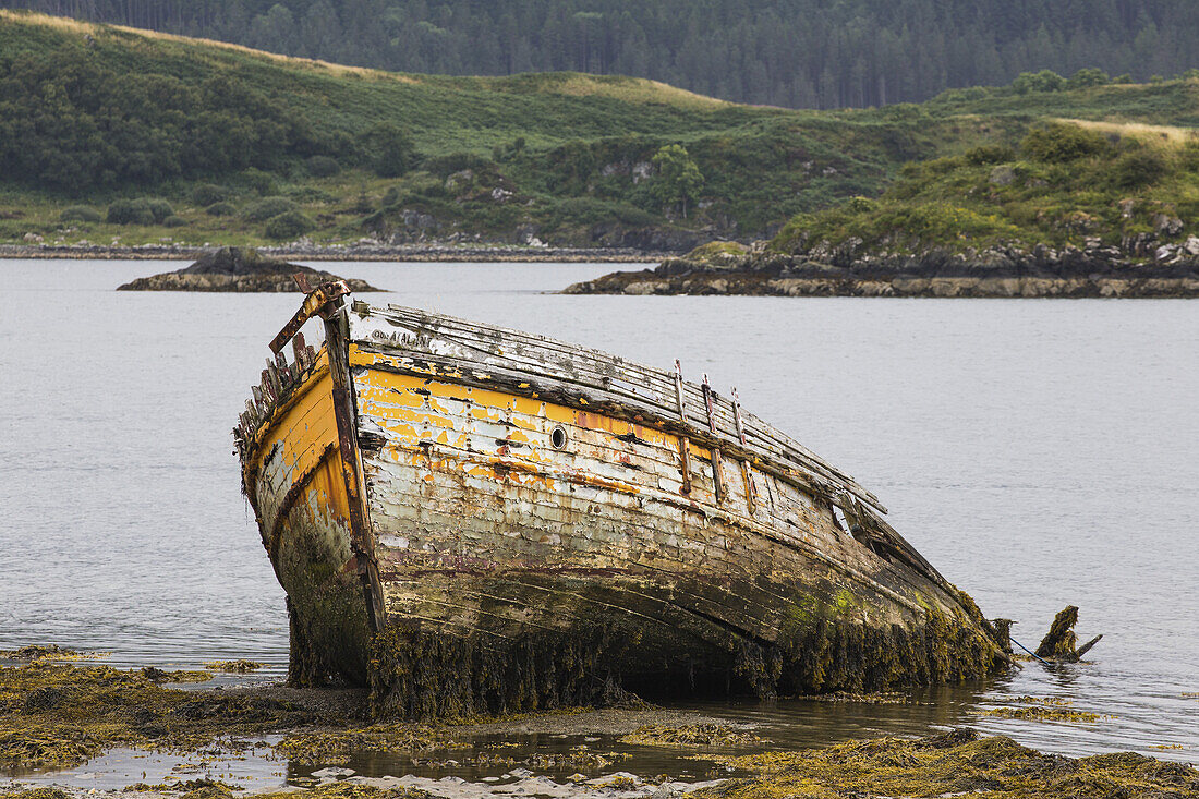 Verlassenes, im Wasser sinkendes Holzboot; Ardfern, Schottland