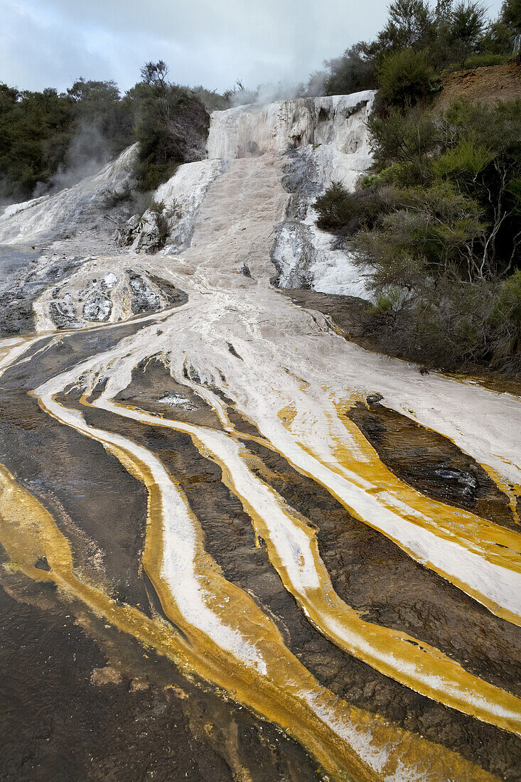 Orakei Korako Thermal Park, Lake Topo Area; North Island, New Zealand