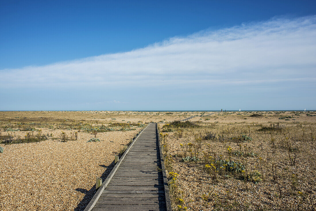 Wooden Path On The Coast; Dungeness, Kent, England