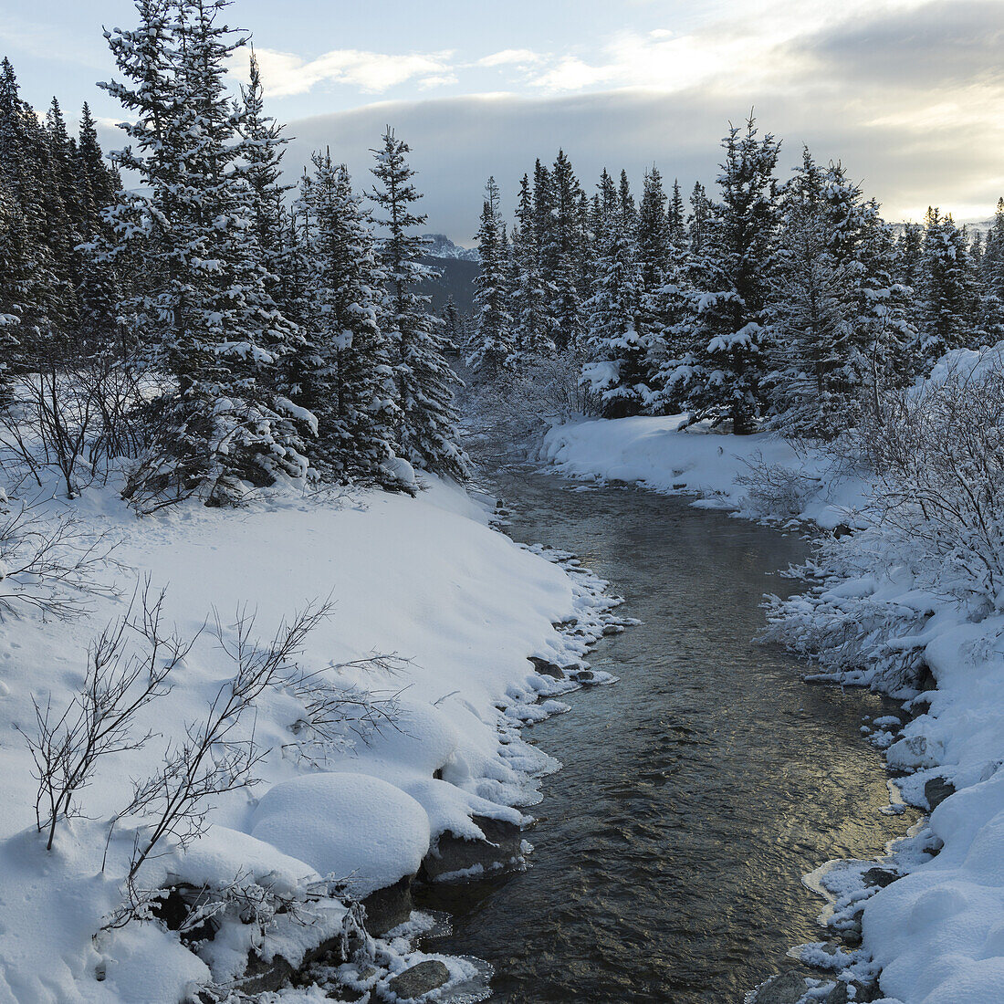 A River Flowing Through A Snow Covered Landscape; Lake Louise, Alberta, Canada