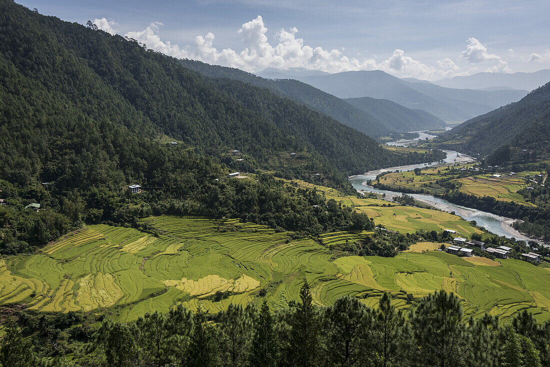 Ein Fluss fließt durch ein Tal mit üppigem Ackerland, das von Bergen umgeben ist; Thimphu, Bhutan