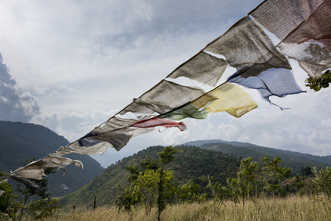 Gebetsfahnen; Punakha, Bhutan