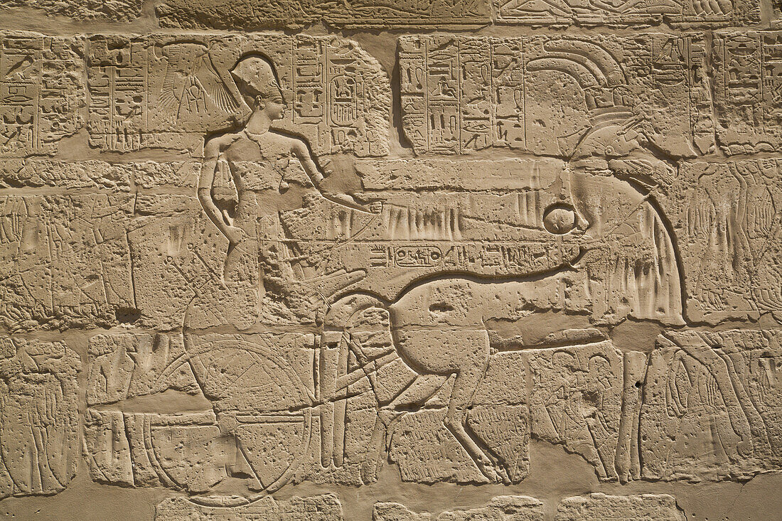 Pharao Tuthmose Iii auf einem Streitwagen, Karnak-Tempelkomplex; Luxor, Ägypten