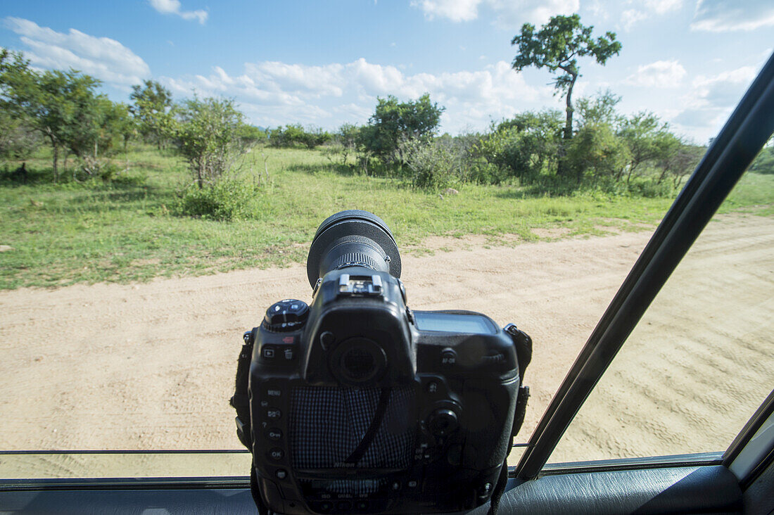 Eine am Fenster eines Fahrzeugs befestigte Kamera, die in den Krüger-Nationalpark zeigt; Südafrika