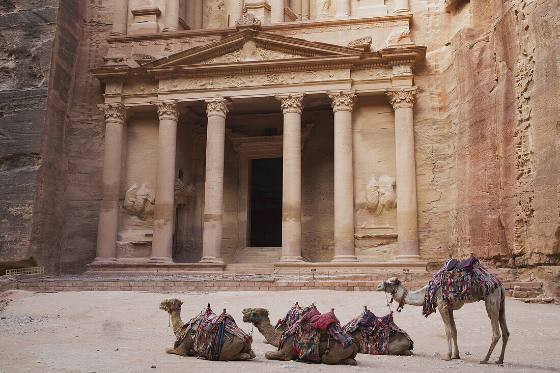 Kamele vor der Schatzkammer; Petra, Jordanien