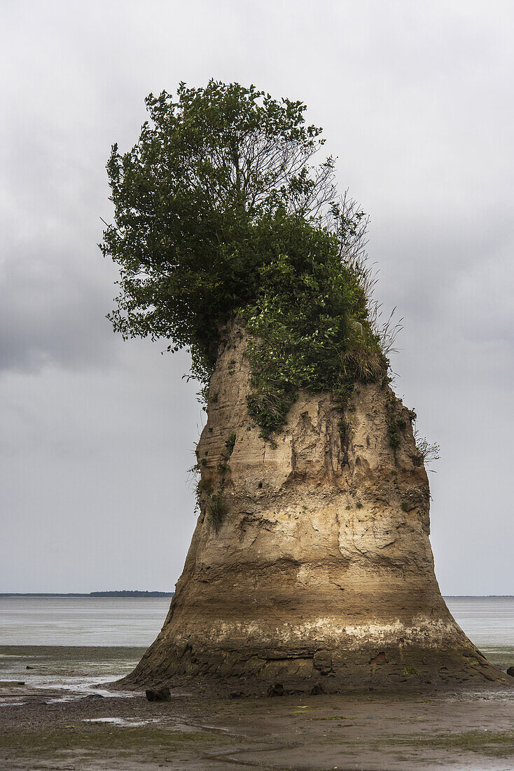 Willapa Bay, aus Lehm; Bay Center, Washington, Vereinigte Staaten von Amerika