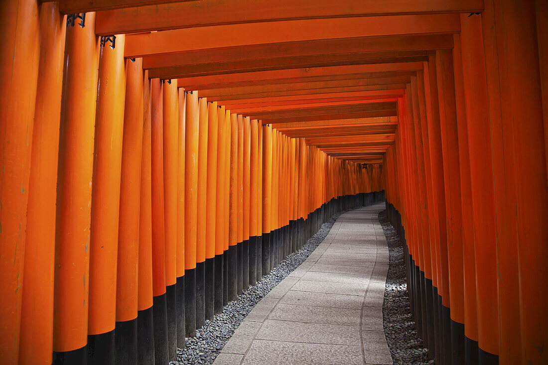 Rote Torii-Tore; Kyoto, Japan