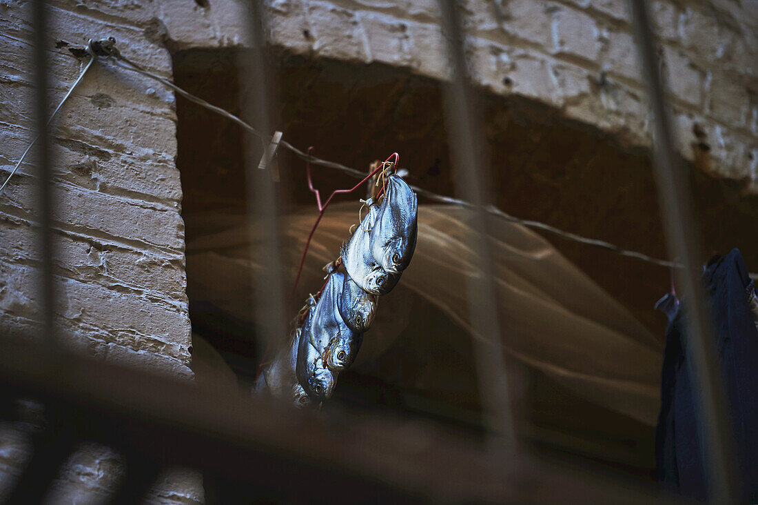 Fish Drying, China Town; San Francisco, California, United States Of America