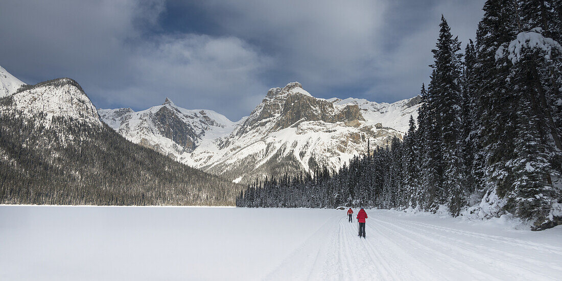 Skilanglauf im Yoho-Nationalpark; Field, British Columbia, Kanada