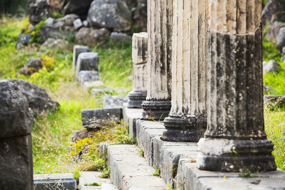 Ruins Of Columns; Delphi, Greece