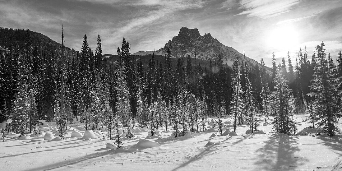 Schnee auf den zerklüfteten kanadischen Rocky Mountains und ein schneebedecktes Feld, Yoho National Park; Field, British Columbia, Kanada