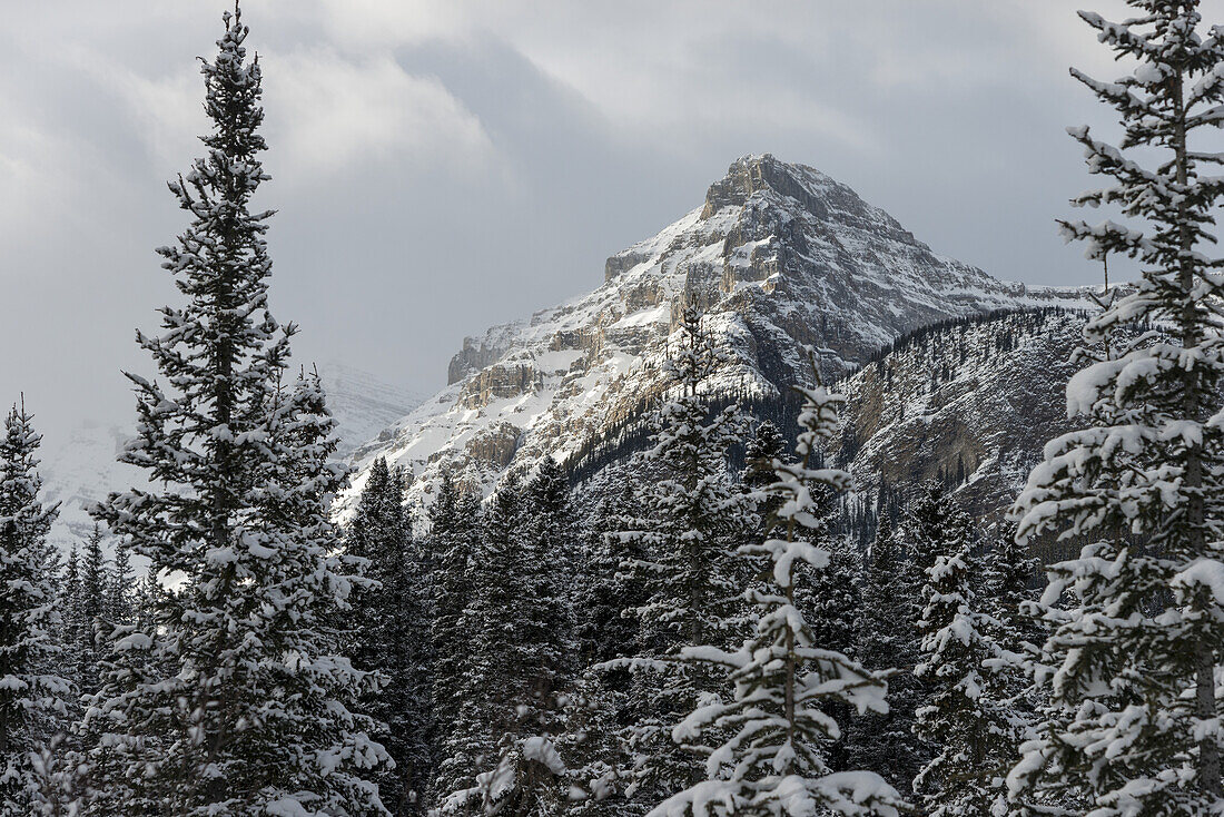 Zerklüfteter Berggipfel mit Schnee unter einem bewölkten Himmel; Lake Louise, Alberta, Kanada