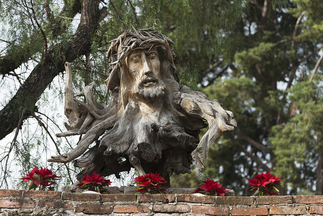 Das Gesicht von Jesus Christus und die Dornenkrone, die in einen Baumstumpf mit roten Blumen entlang einer Mauer geschnitzt ist; Guanajuato, Mexiko