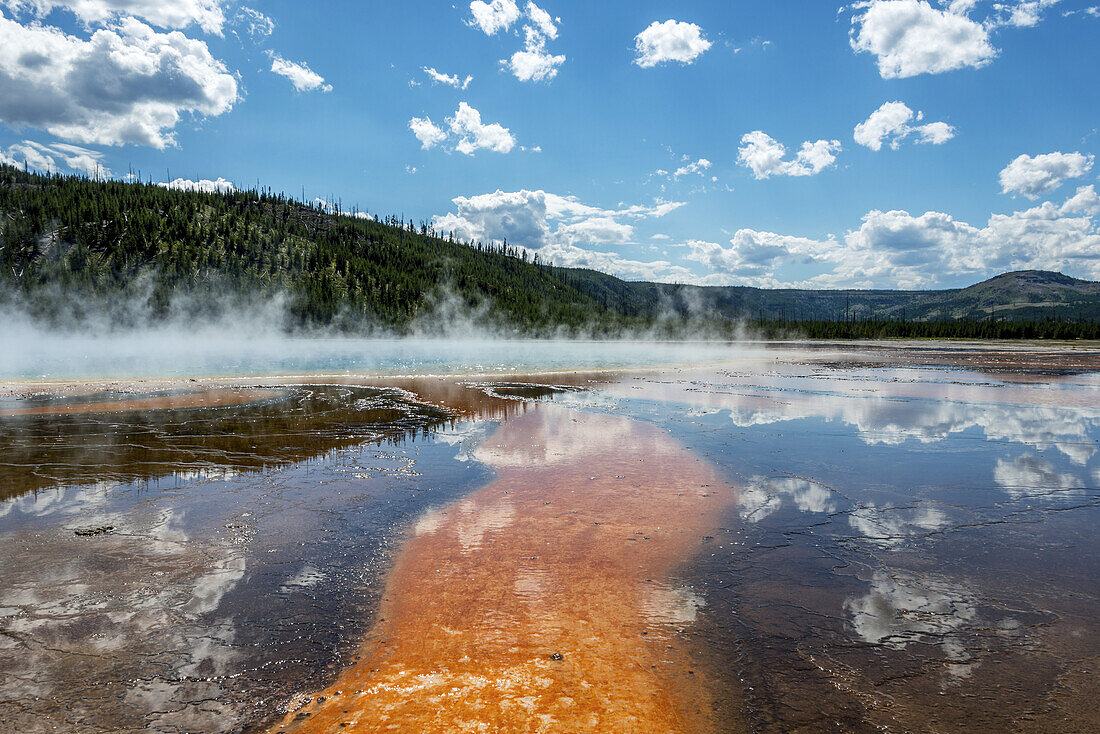 Dampfendes Becken an der großen prismatischen Quelle mit einem Streifen orangefarbener Schwefelablagerungen, die sich in Richtung der niedrigen bewaldeten Hügel am Horizont erstrecken, und der Reflexion eines blauen Himmels, der mit ein paar geschwollenen weißen Wolken übersät ist; Wyoming, Vereinigte Staaten von Amerika