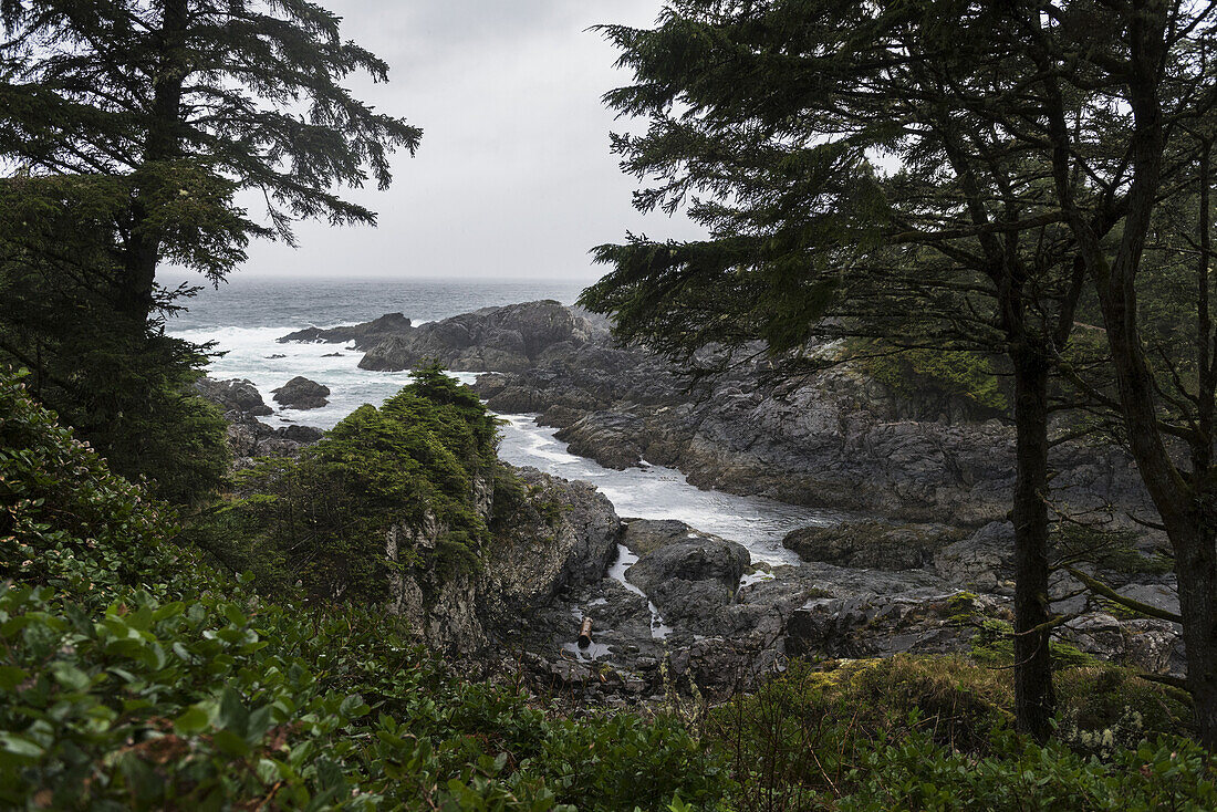 Wild Pacific Trail, Pacific Rim National Park; Britisch-Kolumbien, Kanada