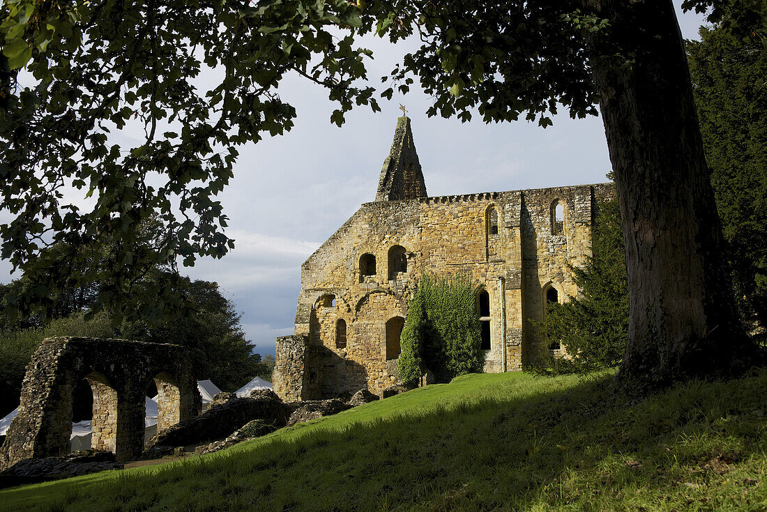 Battle Abbey Ruins Framed By Tree Branches; Battle, England