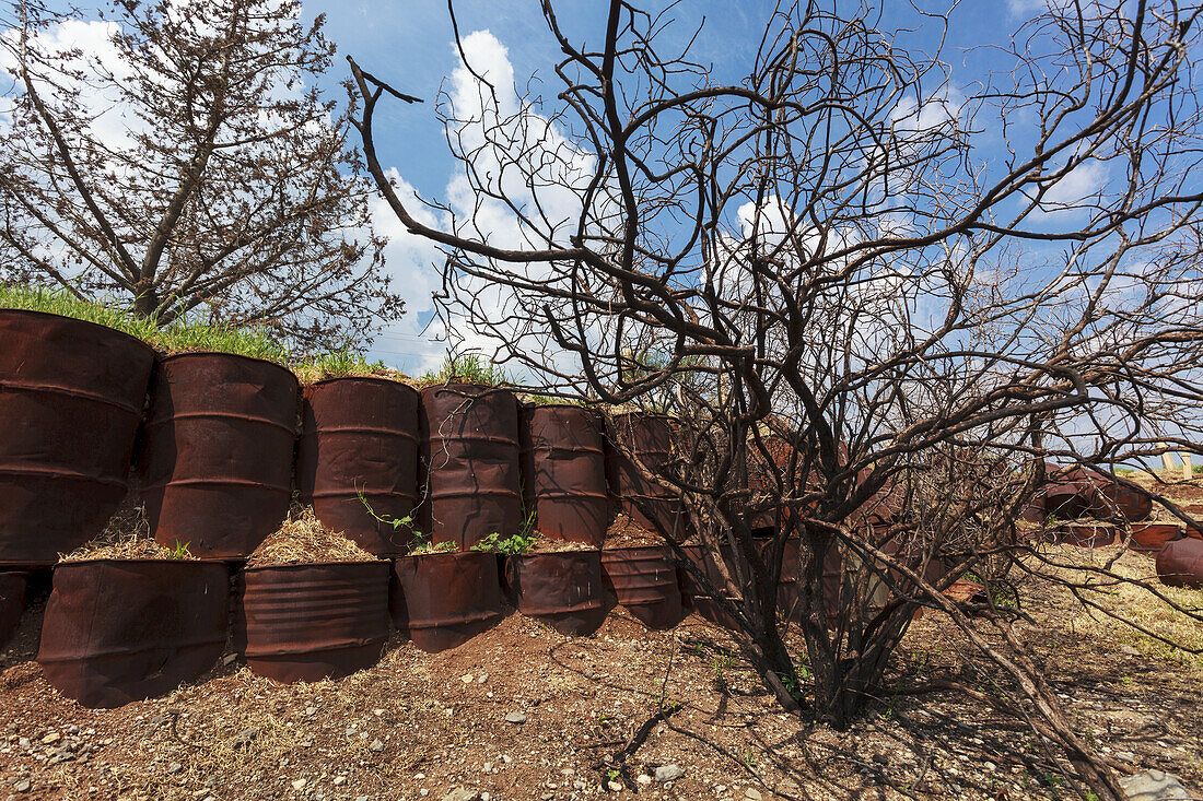 Wall Of Rusty Metal Barrels At The Site Of An Old Syrian Army Bunker; Golan Heights, Israel