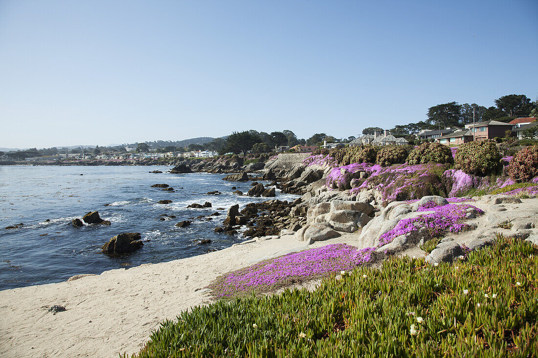 Häuser an der Küste von Kalifornien; Monterey, Kalifornien, Vereinigte Staaten Von Amerika