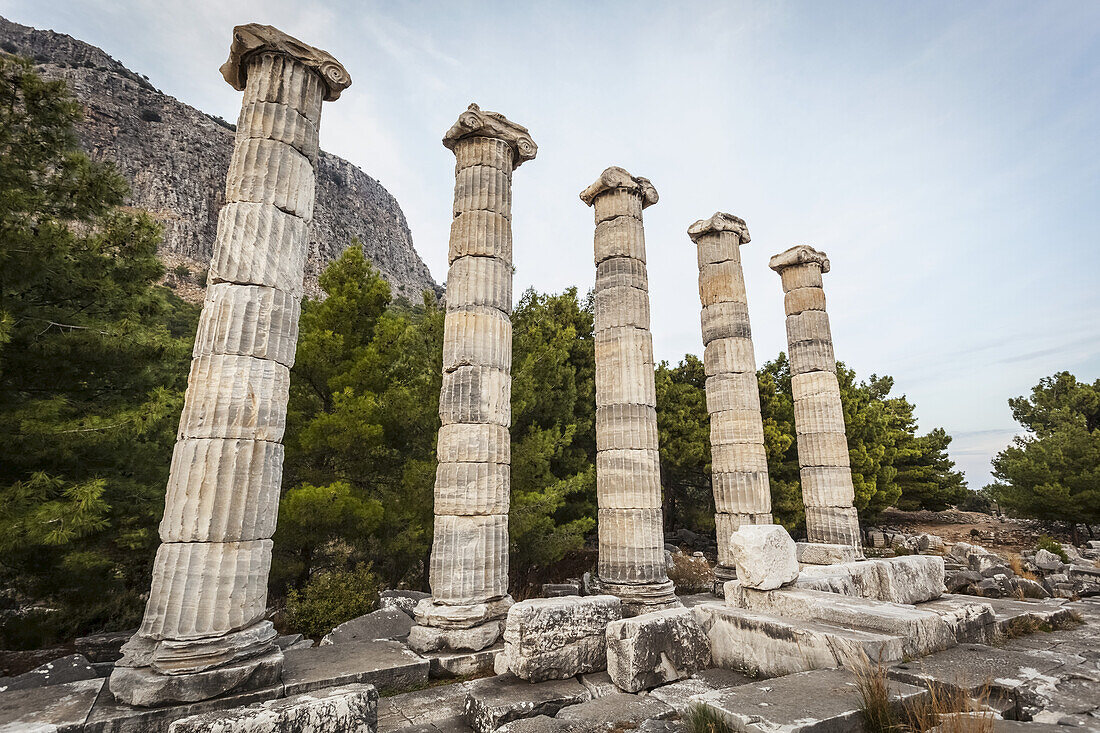 Ruinen des Heiligtums der Athene; Priene, Türkei