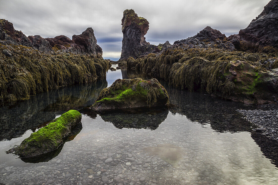 Tidal Pool On The Beach Called Djupalonsanndur On The Western Coast Of Iceland; Iceland