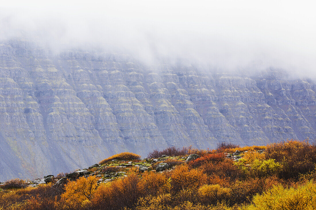 Die gestuften Felswände der Westfjorde sind in Wolken und Nebel gehüllt, wenn der Herbst in Island beginnt; Island