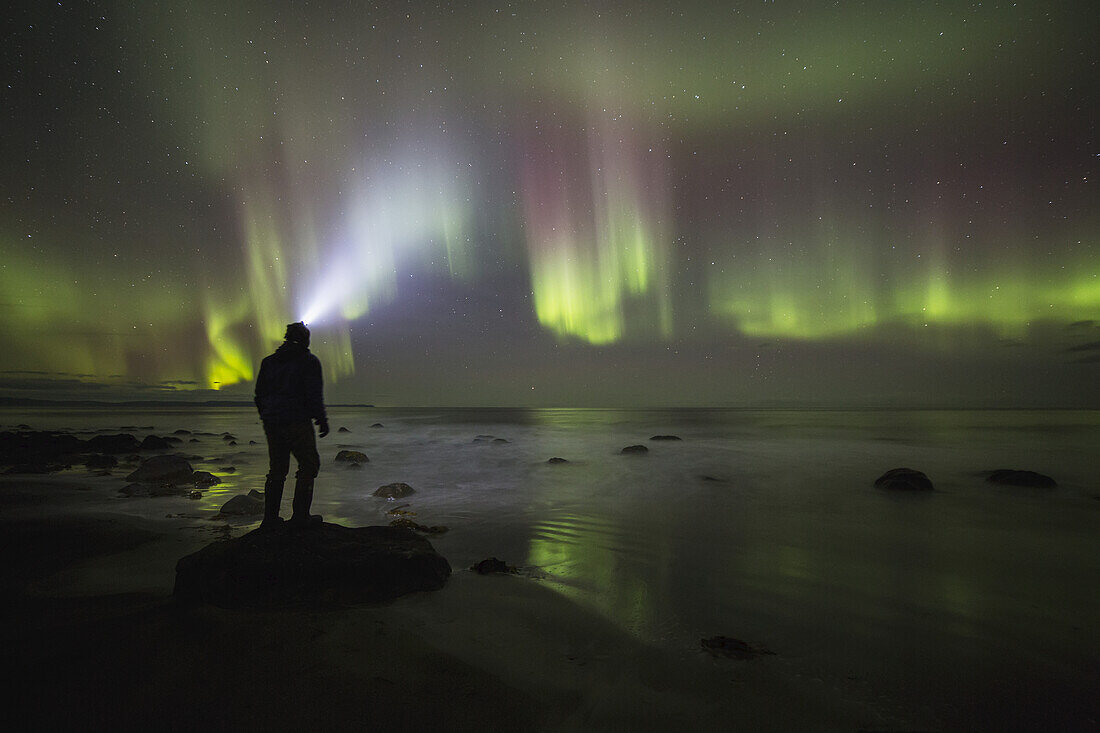 Tanzende Nordlichter über der Langanes-Halbinsel und dem Atlantischen Ozean, Island, während eine Person auf einem Felsen steht und sie beobachtet; Island
