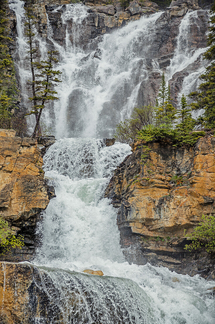 Tangle Falls, Jasper National Park; Alberta, Canada