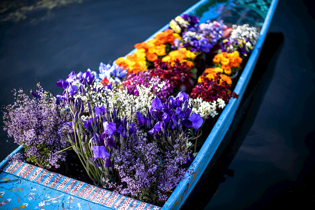 Blumen im Bug eines Shikara, eines kaschmirischen Kanus, werden von einem Blumenverkäufer verkauft, der von Boot zu Boot paddelt, um sie an Touristen und Hausbootbesitzer zu verkaufen; Srinagar, Kaschmir, Indien